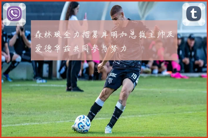 森林狼全力招募库明加总裁主帅及爱德华兹共同参与努力